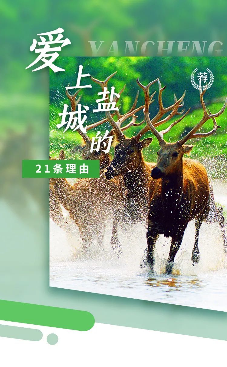 21个爱上盐城的理由，你去过几个？