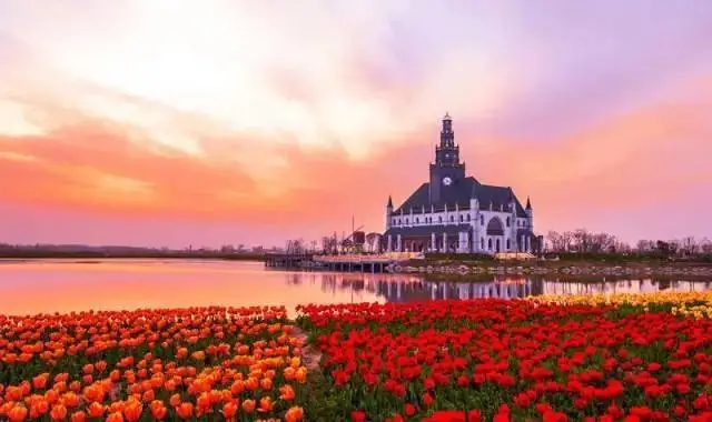 盐城沿海湿地旅游视频_盐城湿地珍禽国家级自然保护区_盐城湿地旅游