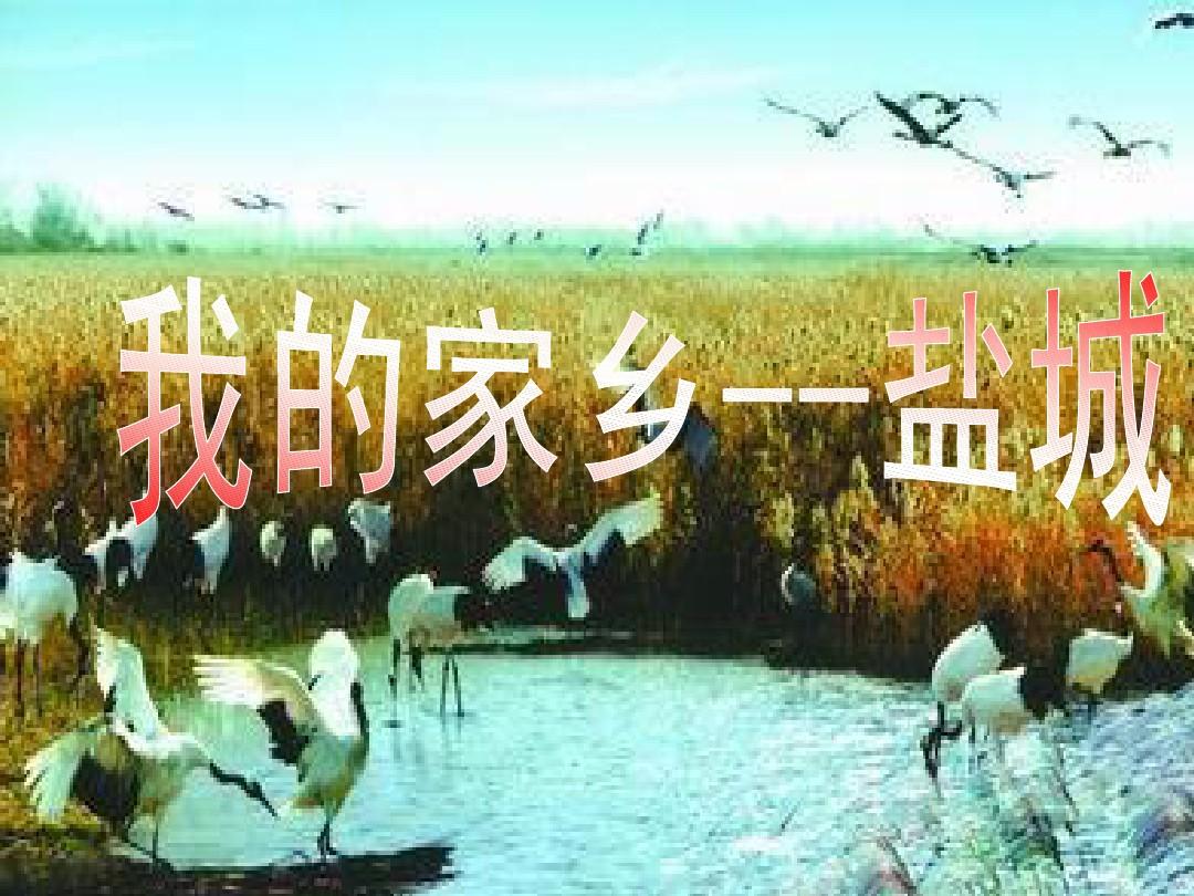 盐城美食推荐_盐城 的美食_盐城美食攻略