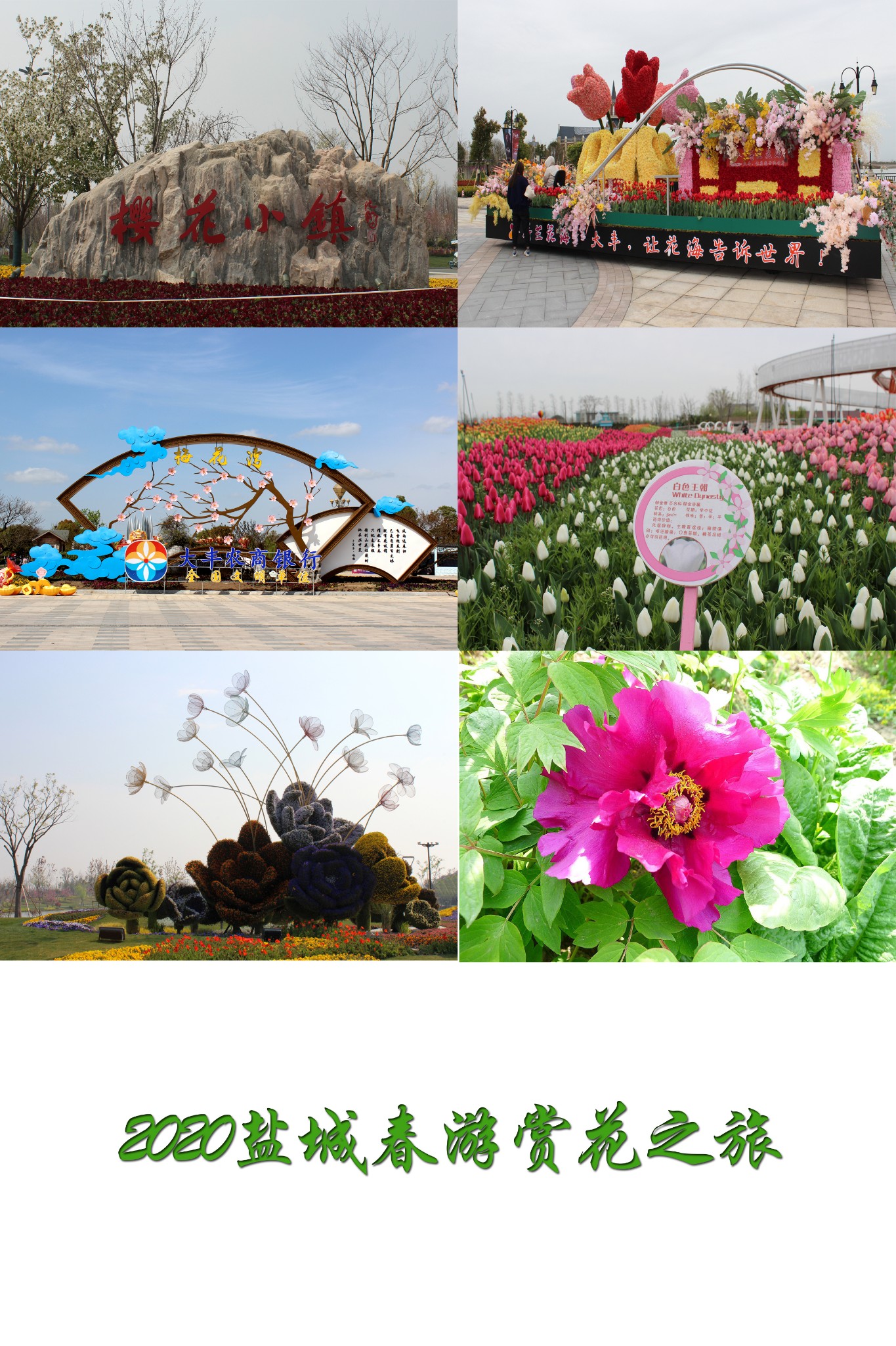 盐城美食攻略_盐城美食推荐_盐城 的美食