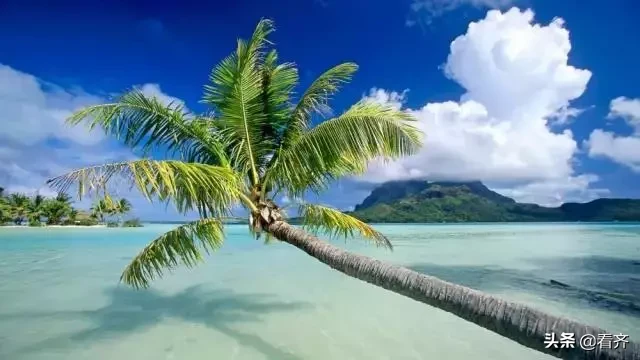 国家5A级旅游景区拟新增22家！齐齐哈尔人数数你去过多少？