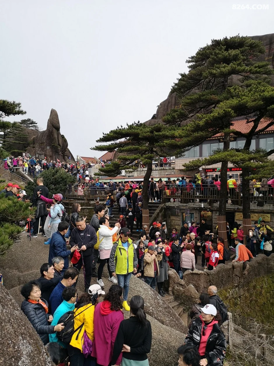 舟山普陀寺全山方丈_舟山普陀勾山二手房买卖_盐城普陀山旅游