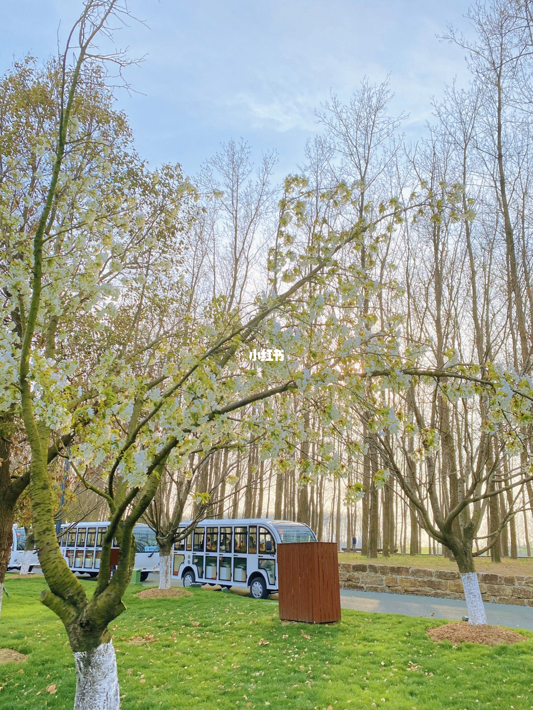 盐城旅游_盐城旅游团购网_盐城旅游总体规划