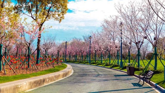 盐城旅游团购网_盐城旅游总体规划_盐城旅游