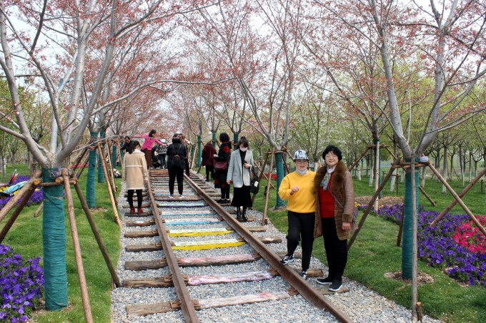 盐城旅游_盐城旅游总体规划_盐城旅游团购网