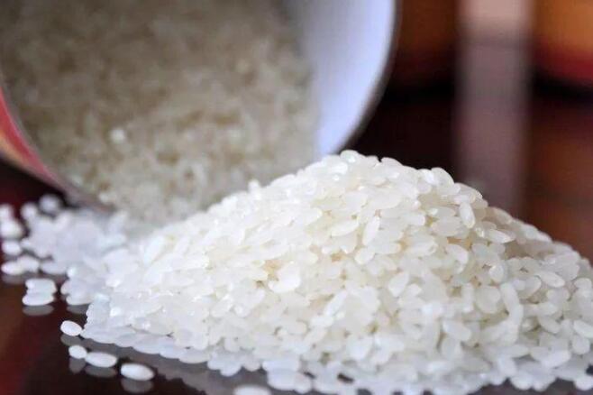 盐城宾海儿童英语培训班_南宁荔宾大道美食_盐城宾海的美食