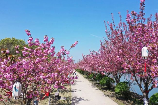 盐城旅游_盐城旅游软件_盐城旅游logo