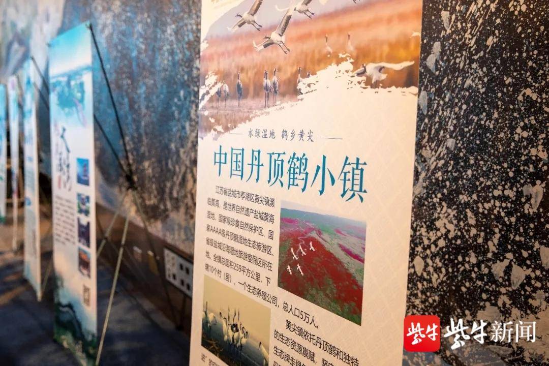“乘着高铁游盐城”2021亭湖·日照旅游推介会成功举办