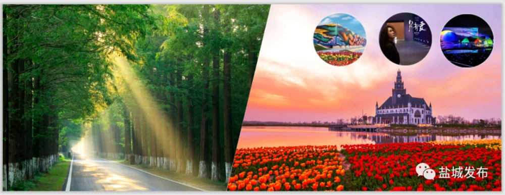 盐城旅游logo_盐城旅游酒店预定_盐城湿地旅游