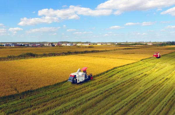 “融入上海‘一小时经济圈’的盐城”(图)