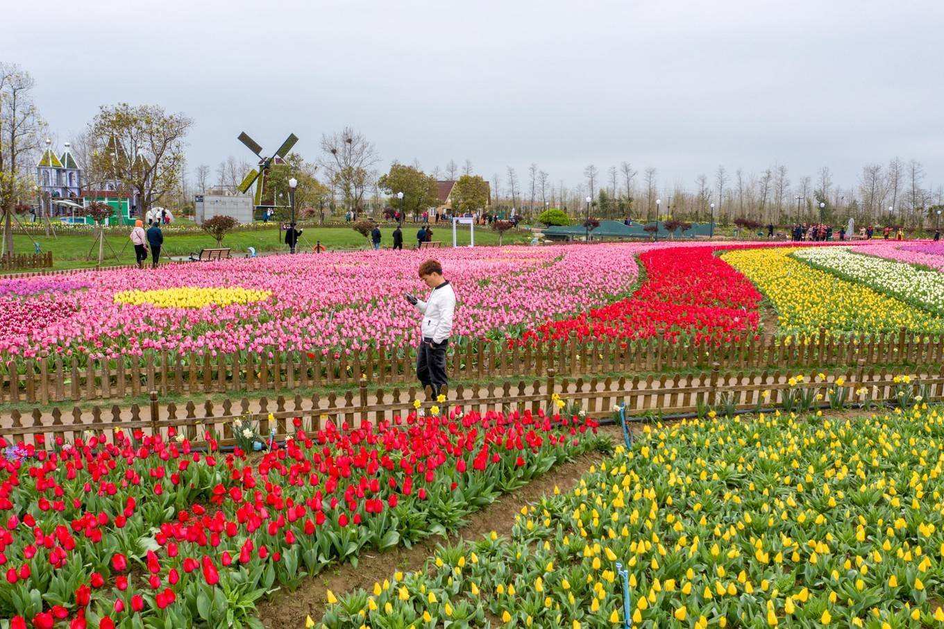 盐城旅行社旅游线路报价_盐城旅游_鹤鹿故乡 盐城发布旅游微电影 以鹤为由讲大爱