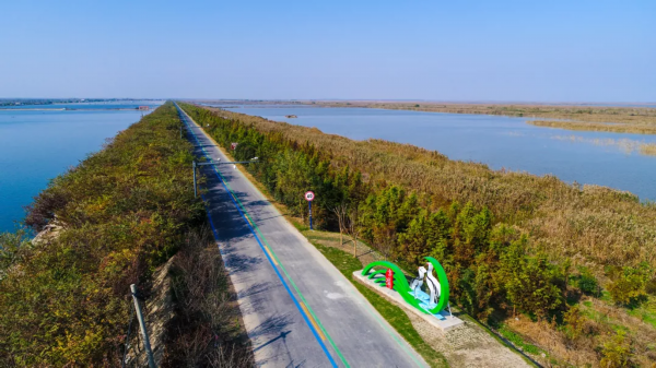 盐城地处面积最大的特点是什么？有什么特点？