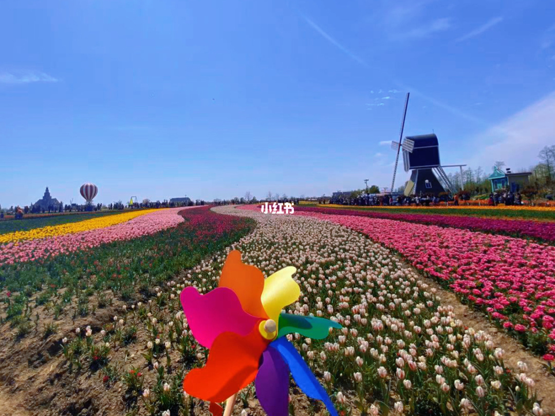 盐城大丰监狱地址_盐城大丰旅游_盐城大丰天气预报15天