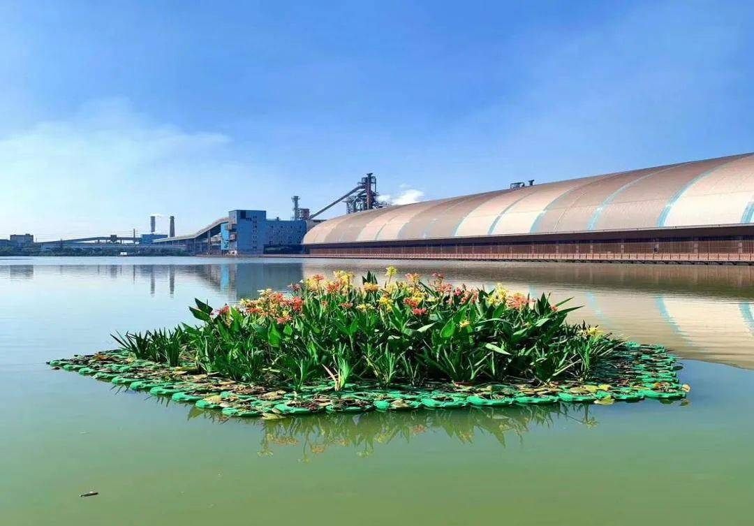 “最江苏”本期：协同推进经济高质量发展和生态环境高水平保护