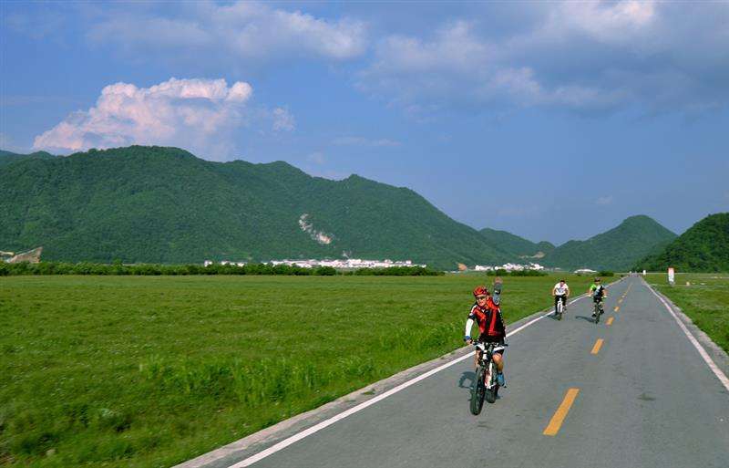 盐城丹顶鹤湿地生态公园_盐城湿地旅游_盐城湿地门票