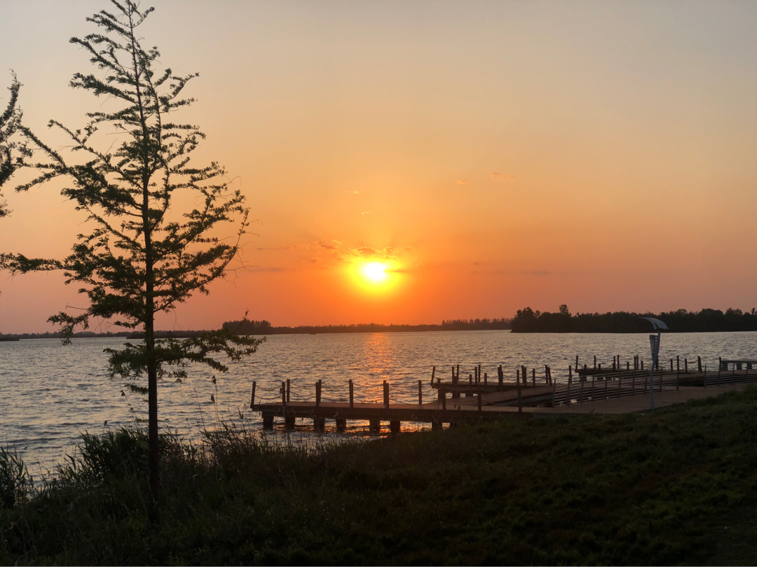 盐城滨海有什么美景、美食_盐城滨海酒驾闹事_山东潍坊滨海美景