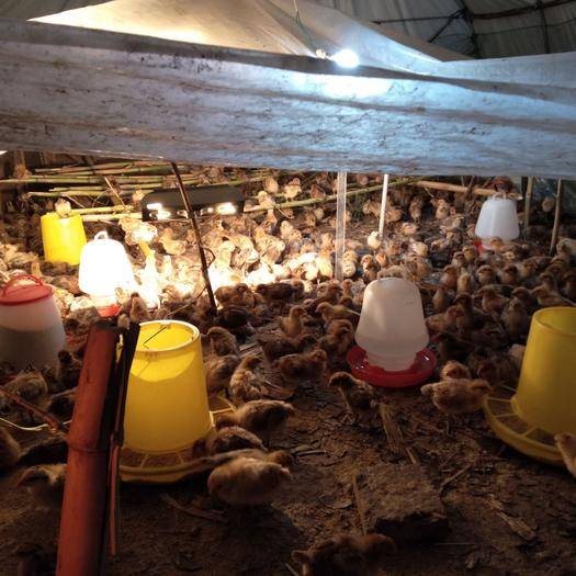 天津有个滨海新区，盐城也有个滨海！而且这些景点一点也不差