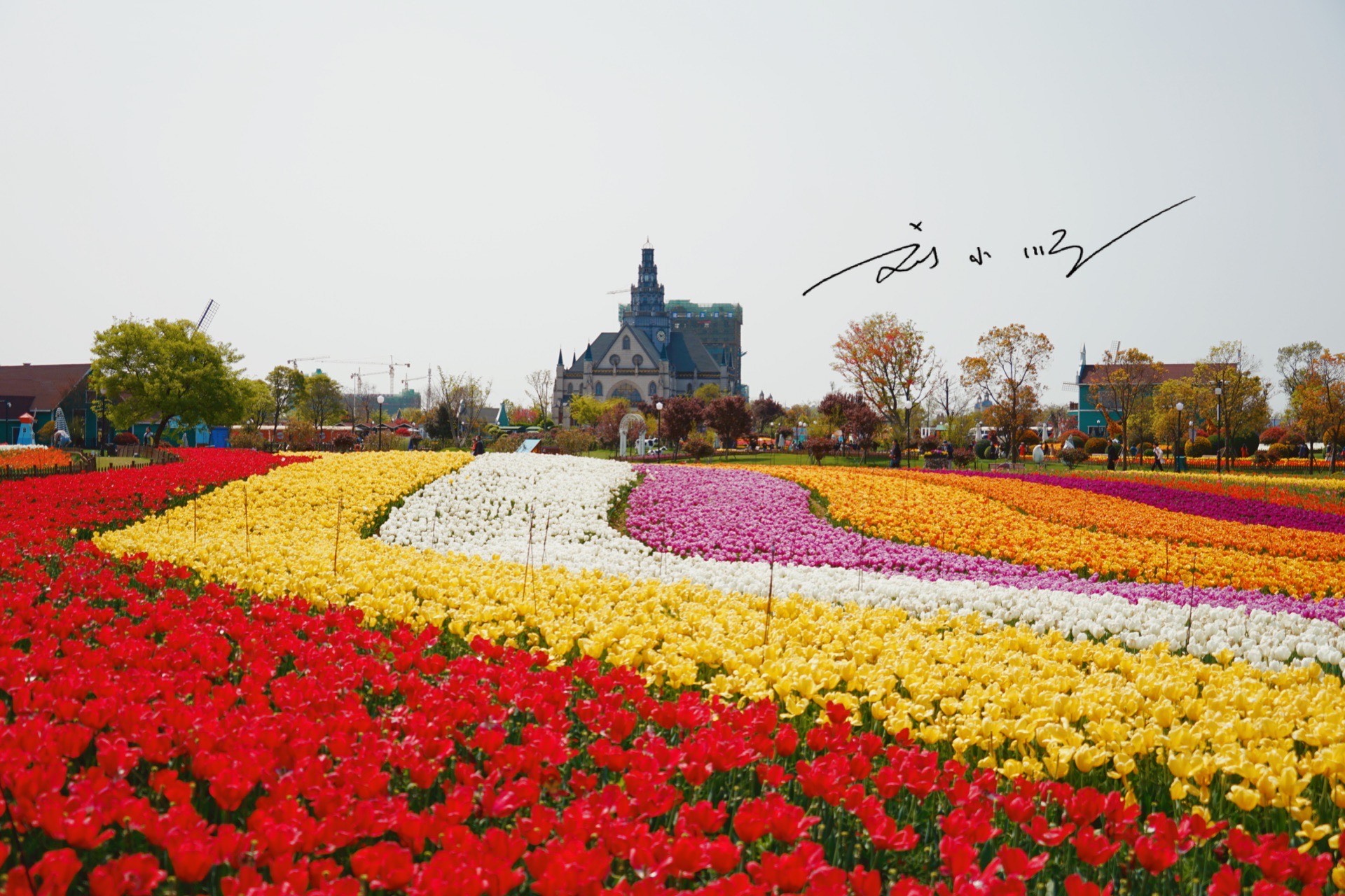 杨超越“代言”家乡4A级景区，好看又好玩，宛如江苏版迪士尼乐园