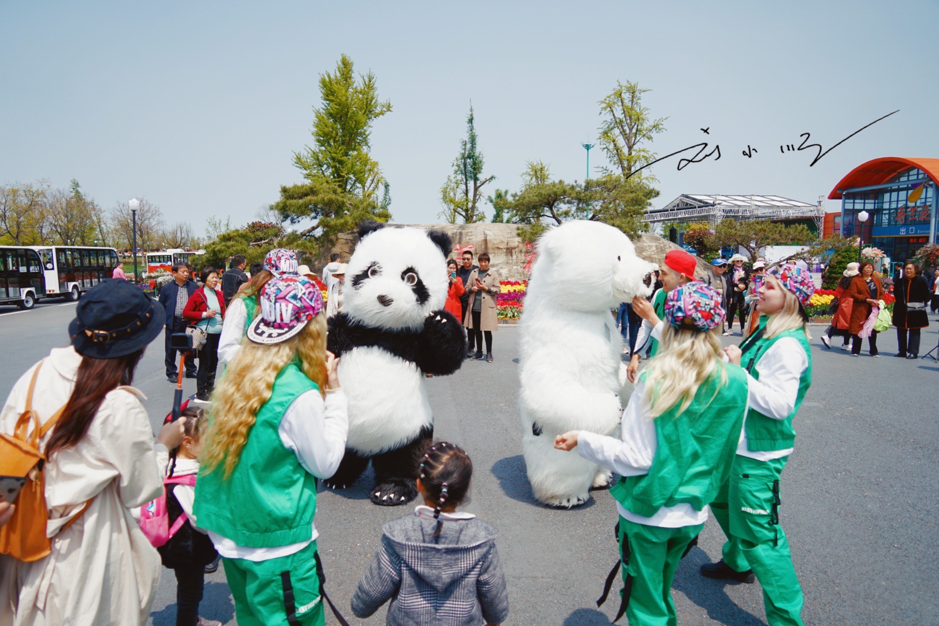 杨超越“代言”家乡4A级景区，好看又好玩，宛如江苏版迪士尼乐园