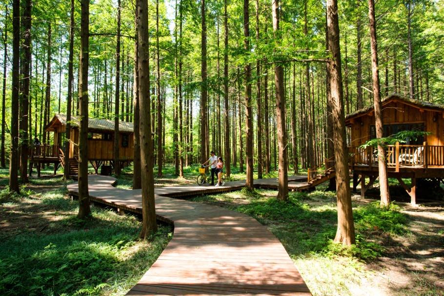 盐城美食街水果店地址_盐城水街小吃一条街_盐城水街美食