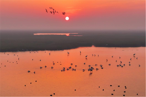 盐城湿地旅游_盐城湿地_盐城湿地策划