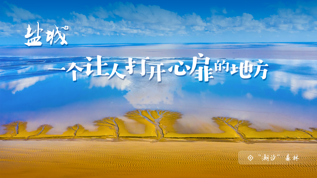 盐城旅游信息网_盐城旅游软件_盐城旅游软件开发招聘