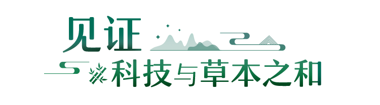鹤鹿故乡 盐城发布旅游微电影 以鹤为由讲大爱_鹤鹿故乡 盐城发布旅游微电影 以鹤为由讲大爱_鹤鹿故乡 盐城发布旅游微电影 以鹤为由讲大爱