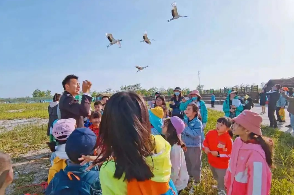 盐城旅游ppt_盐城旅游景点大全排名_盐城旅游必去十大景点