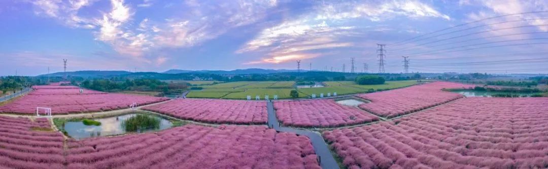 盐城普陀山旅游_盐城普陀山路_盐城去普陀山