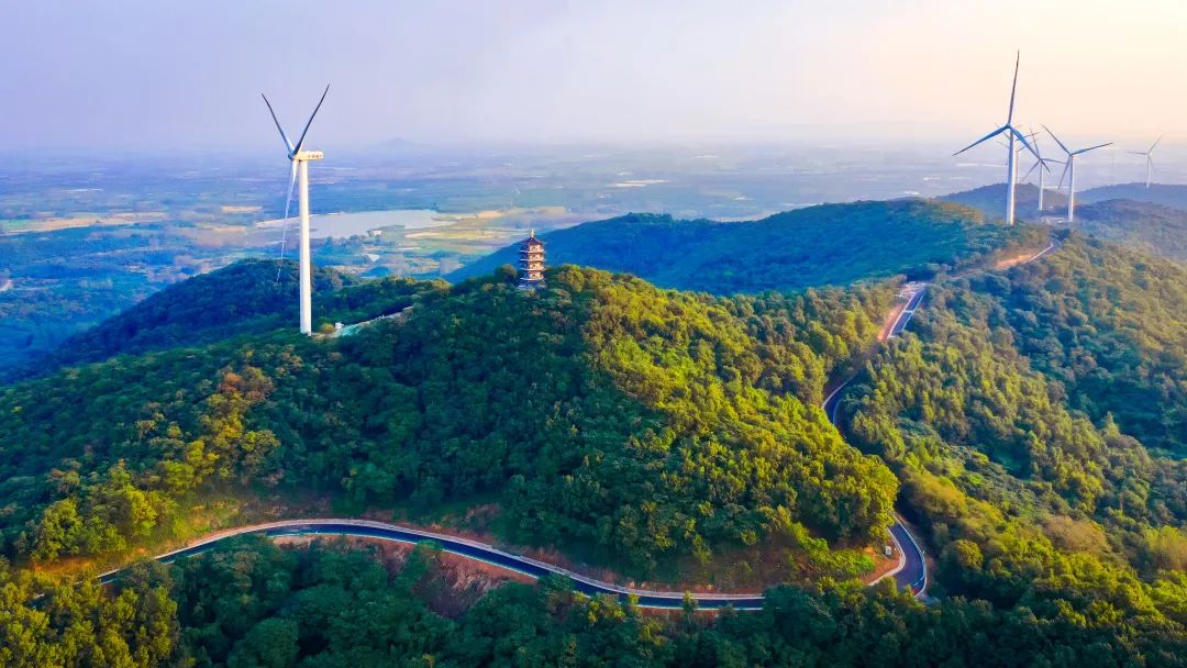 盐城普陀山路_盐城去普陀山_盐城普陀山旅游