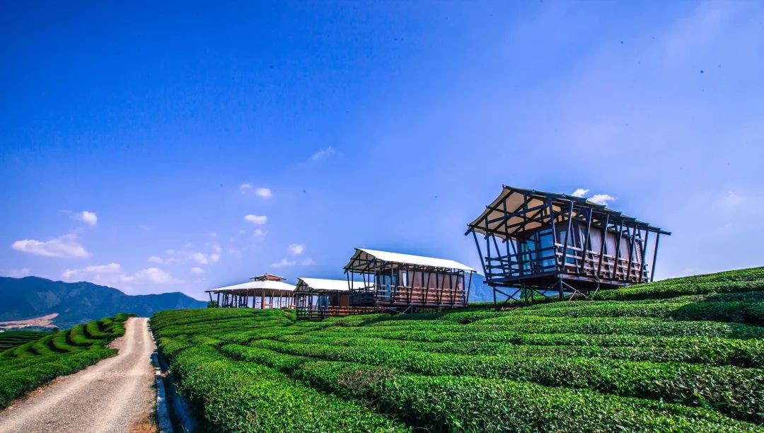 盐城普陀山路_盐城去普陀山_盐城普陀山旅游