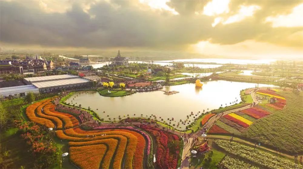 盐城大丰发展旅游_盐城大丰旅游发展规划_盐城大丰旅游发展怎么样