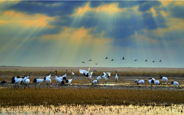 盐城红色旅游线路_盐城红色旅游景点大全_盐城红色旅游