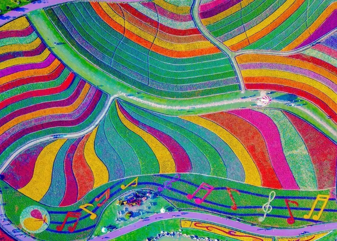 预定盐城酒店旅游多少钱_盐城旅游酒店预定_盐城酒店推荐