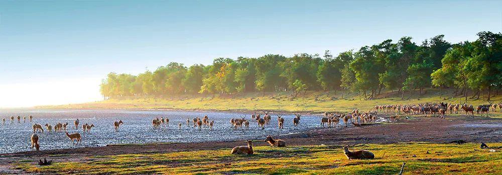 盐城市旅游公路规划_盐城全域旅游_盐城旅游总体规划