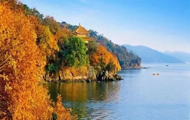 盐城 美食 大众点评_点评盐城大众美食的句子_点评盐城大众美食的评语