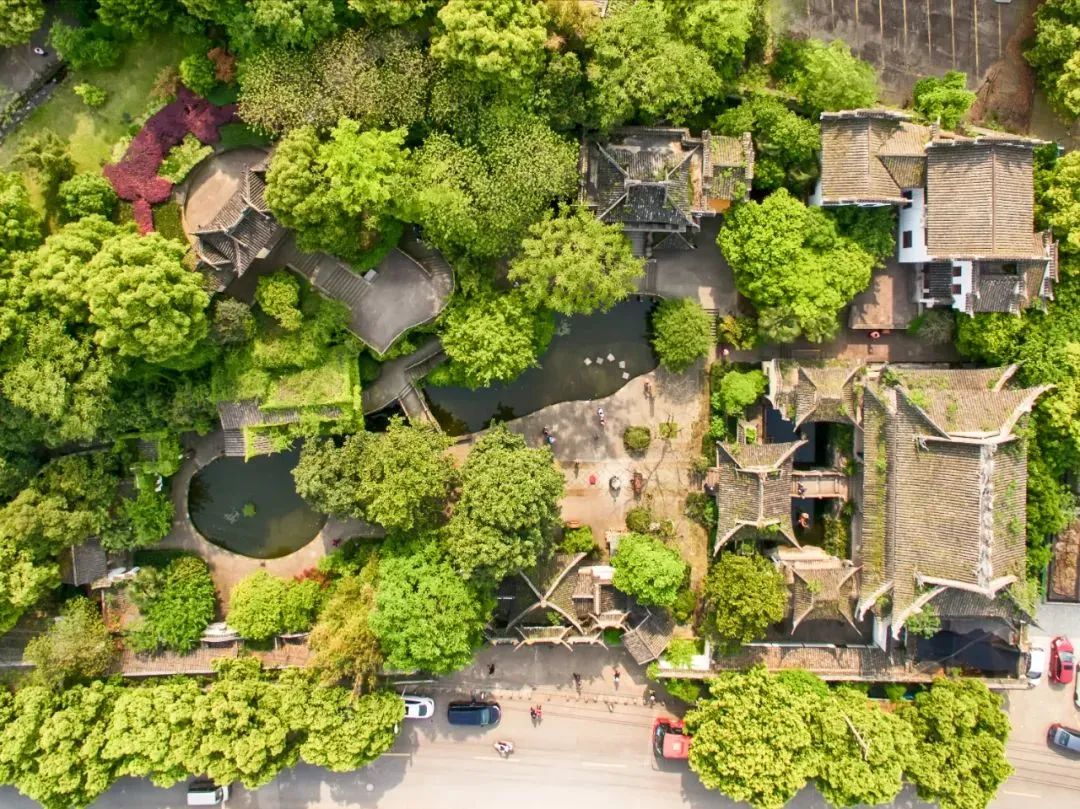 点评盐城大众美食的评语_盐城 美食 大众点评_点评盐城大众美食的句子