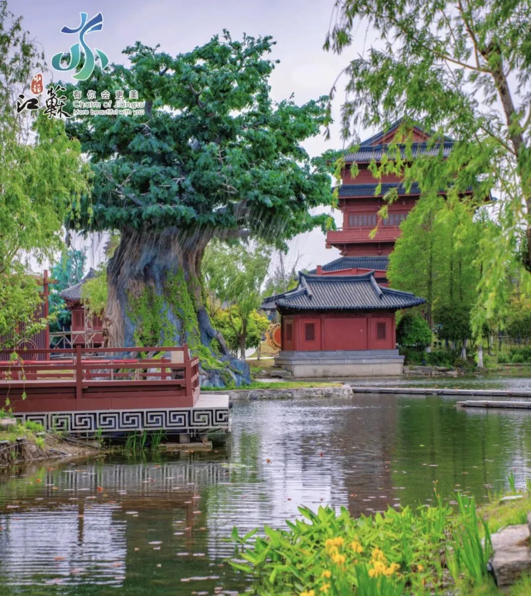 盐城旅游酒店预定_预定盐城酒店旅游的软件_预定盐城酒店旅游多少钱