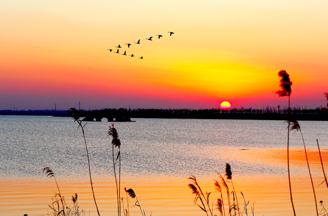 盐城普陀旅游山庄在哪里_盐城普陀山旅游_盐城去普陀山