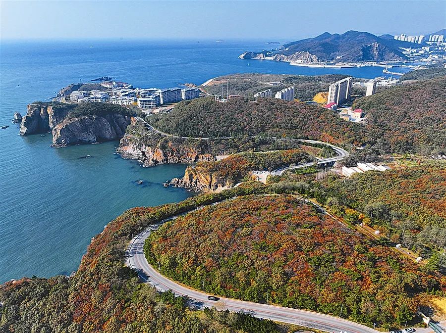 盐城滨海旅游攻略_盐城旅游滨海游玩攻略_盐城滨海旅游