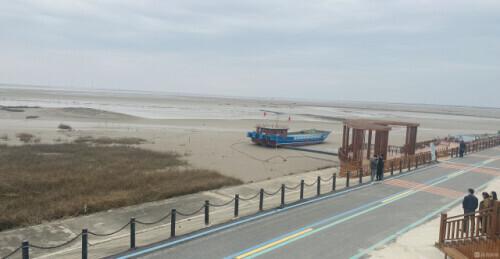 盐城湿地_盐城湿地旅游_盐城湿地公园有什么好玩的