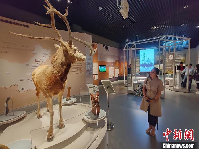 江苏盐城湿地公园在哪里_盐城湿地旅游_盐城湿地