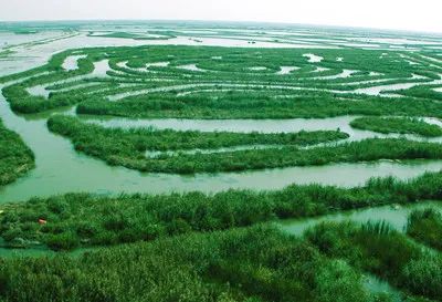 盐城风光旅游_盐城旅游_盐城旅行景点