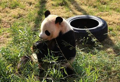 盐城旅行景点_盐城旅游_盐城风光旅游