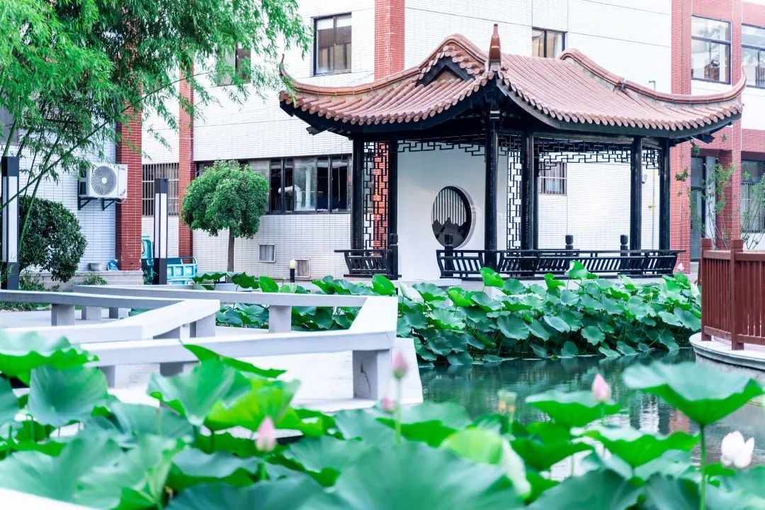 盐城美食推荐_盐城美食推荐理由_盐城美食推荐方案