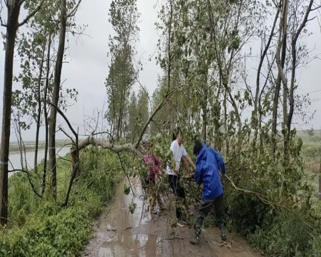 盐城好的企业_盐城十强企业_盐城的好企业