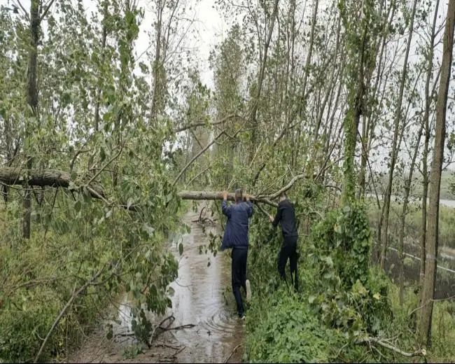 盐城的好企业_盐城十强企业_盐城好的企业