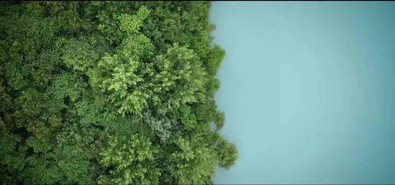 盐城美食推荐_盐城美食推荐理由_盐城美食推荐排行榜