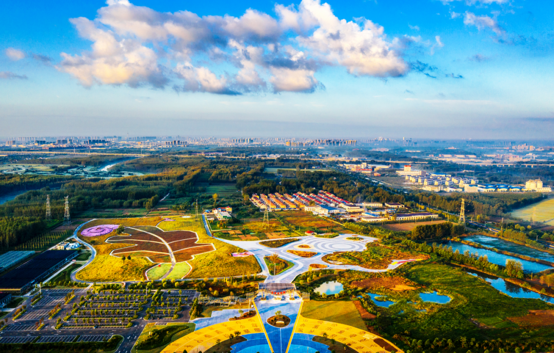 盐城美食推荐排行榜_盐城美食推荐理由_盐城美食推荐