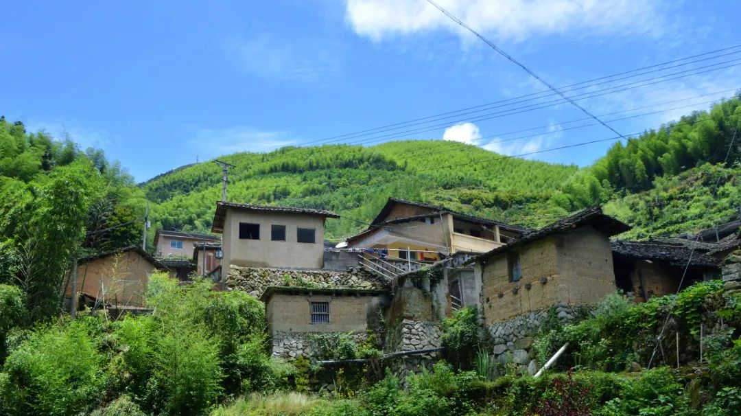 盐城全域旅游_盐城旅游总体规划_盐城旅游业发展